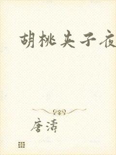 胡桃夹子夜未眠