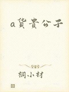 a货贵公子