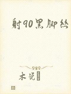 射90黑脚丝女