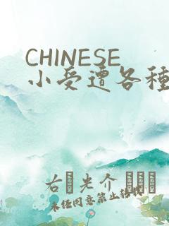 CHINESE小受遭各种打桩