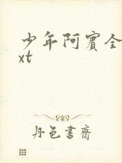 少年阿宾全集txt