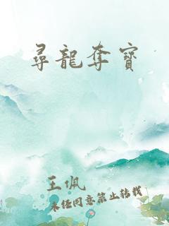 寻龙夺宝
