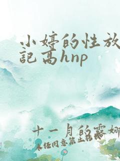 小婷的性放荡日记高hnp