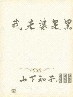 我老婆是黑社会