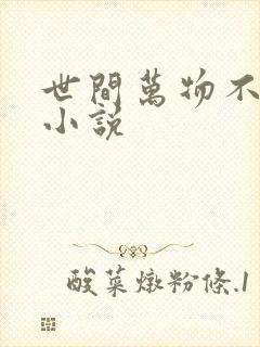 世间万物不及你小说