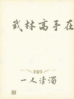 武林高手在官场