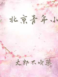 北京青年小说