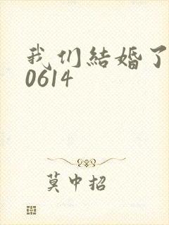 我们结婚了130614