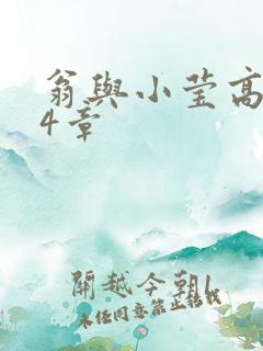 翁与小莹高潮24章