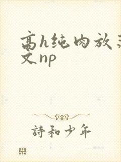 高h纯肉放荡h文np