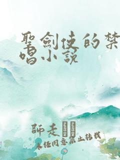 圣剑使的禁咒咏唱小说