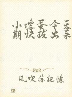 小坏蛋今天危险期快拔出来