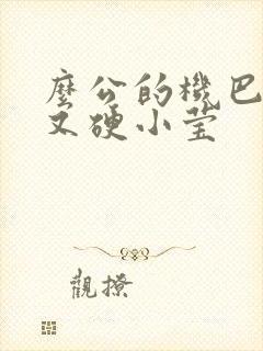 么公的机巴又粗又硬小莹