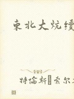 东北大炕续