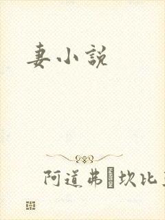 妻小说