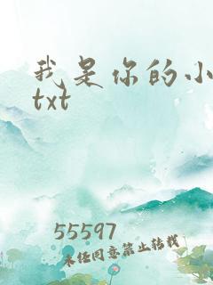 我是你的小小狗txt