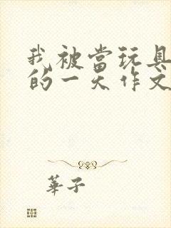 我被当玩具发泄的一天作文