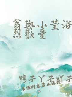 翁与小莹浴室激烈欢爱