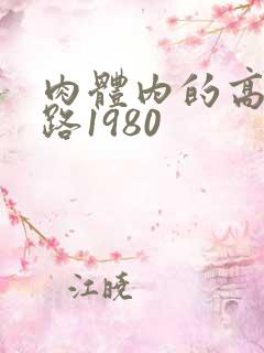 肉体内的高速公路1980