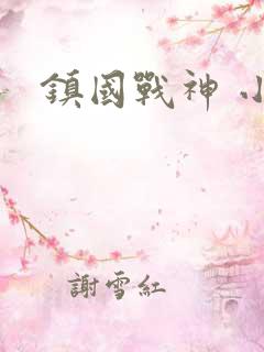 镇国战神 小说