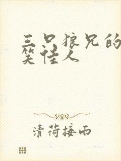 三只狼兄的宠妻笑佳人