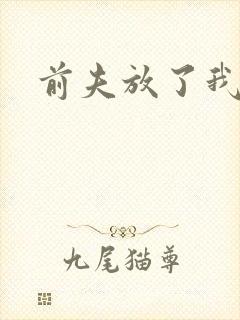 前夫放了我
