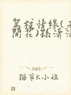 驾校情缘(老树开花)孙潇潇第一次趣笔阁