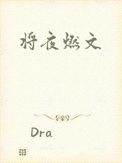 将夜燃文
