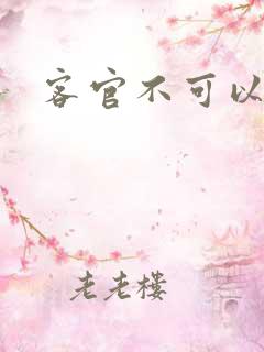 客官不可以小凌