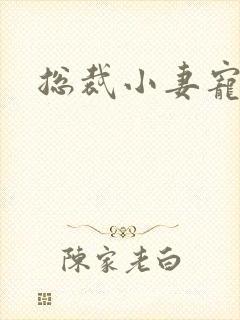 总裁小妻宠上天