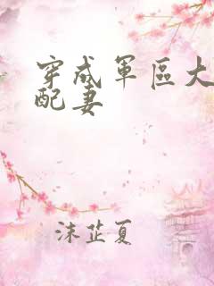 穿成军区大佬女配妻