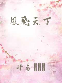 凤飞天下