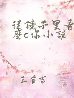 从镜子里看我怎么c你小说