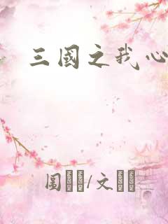 三国之我心狂想