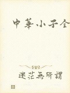 中华小子全集