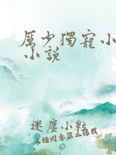 厉少独宠小娇妻 小说