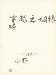 穿越之姻缘劫攻略