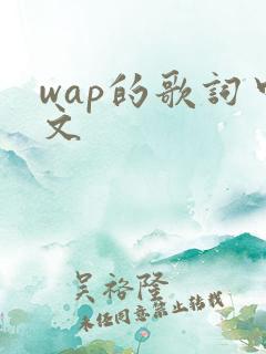 wap的歌词中文