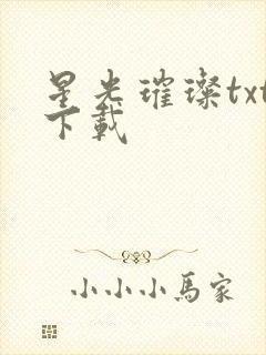 星光璀璨txt下载