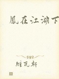 凤在江湖下载