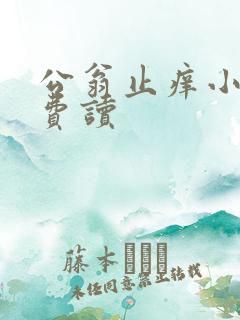 公翁止痒小说免费读