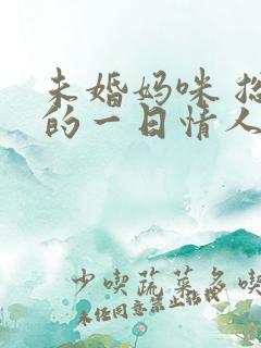 未婚妈咪 总裁的一日情人