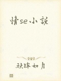 情se小说