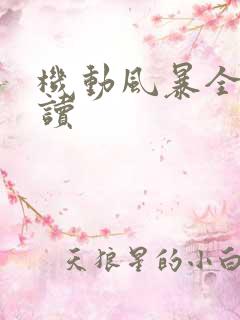 机动风暴全文阅读