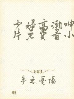 少妇高潮呻吟A片免费看小说