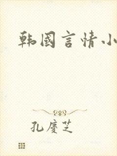 韩国言情小说