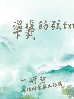 温暖的弦txt下载