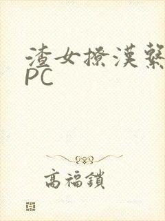 渣女撩汉系统NPC