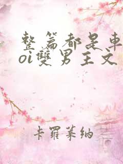 整篇都是车的doi双男主文