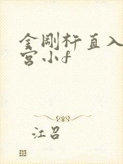 金刚杵直入莲花宫小f